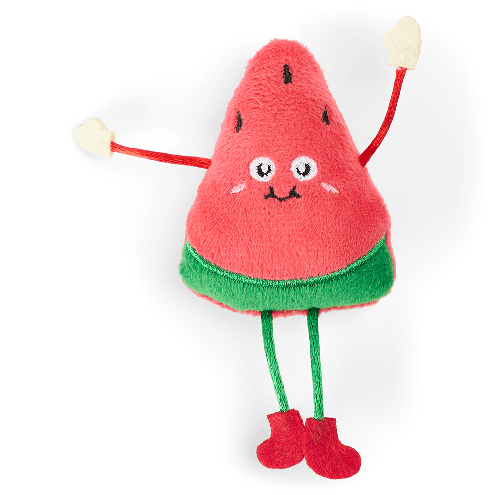 the-catsentials-watermelon-with-catnip-cat-toy