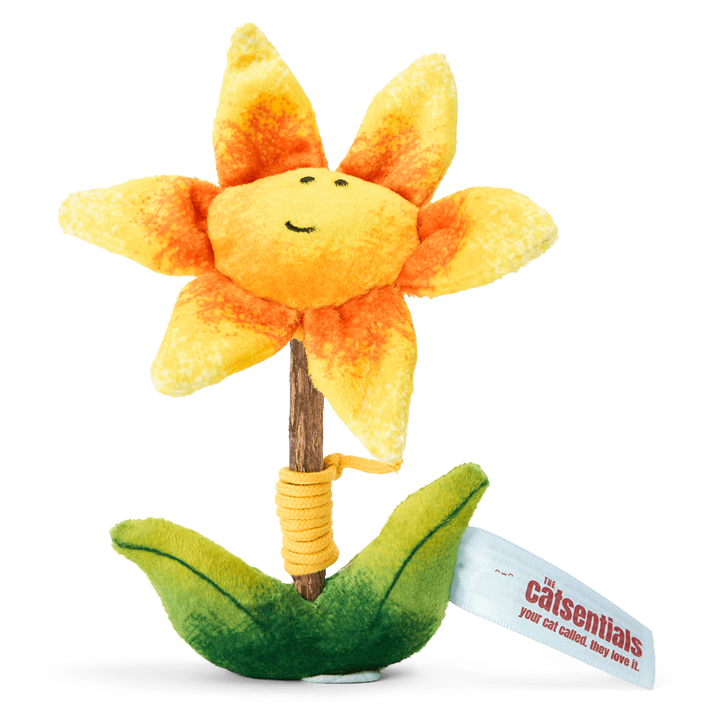 the-catsentials-flower-with-silvervine-stick-cat-toy