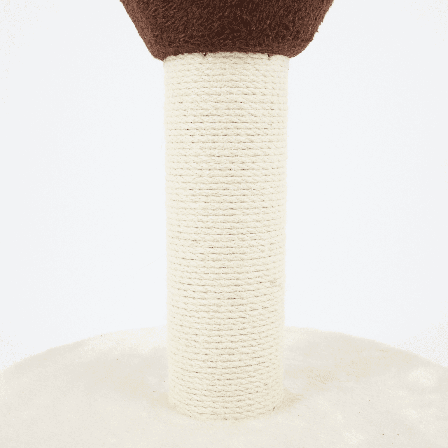 The Catsentials Martini Cat Scratcher
