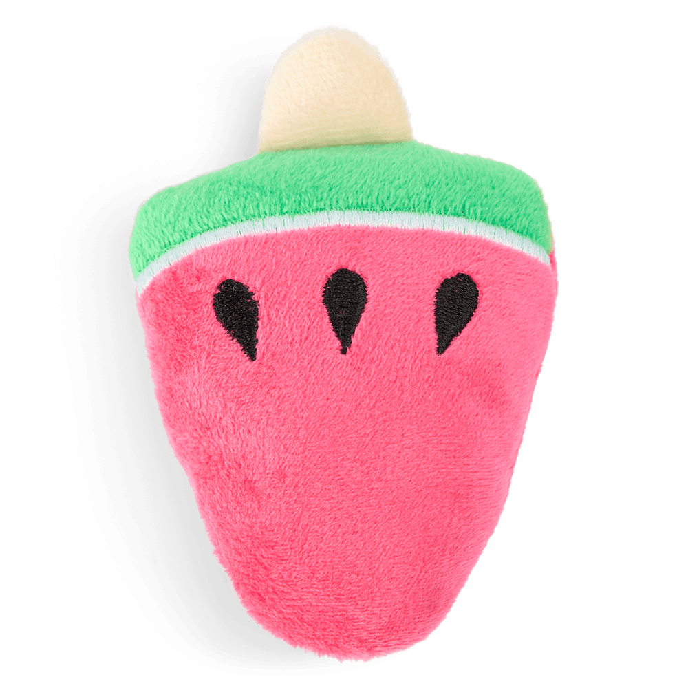 the-catsentials-watermelon-icypop-with-catnip-cat-toy