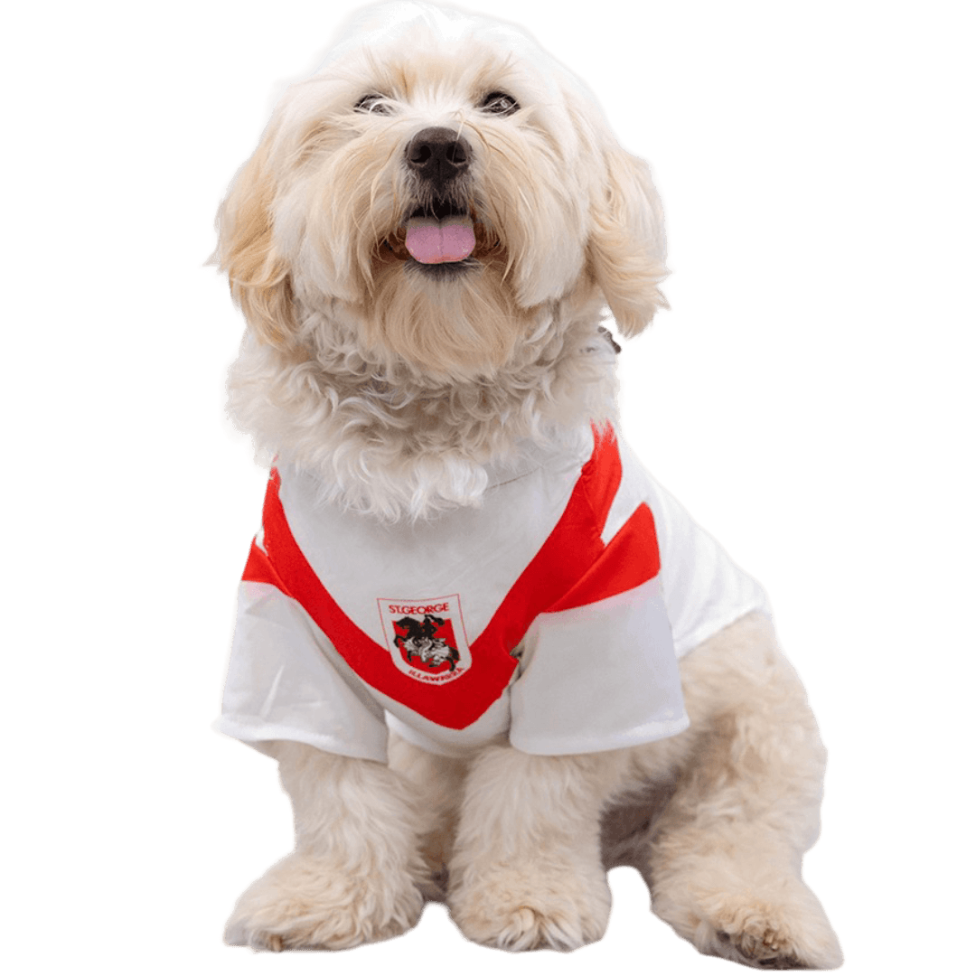 the-stubby-club-nrl-st-george-dragons-pet-jersey