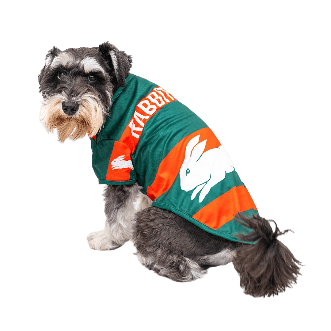 the-stubby-club-nrl-south-sydney-rabbitohs-pet-jersey