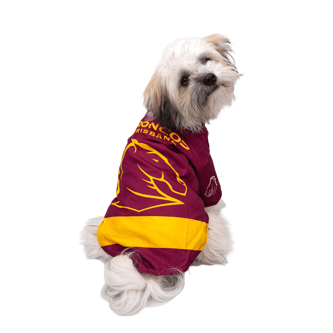 the-stubby-club-nrl-brisbane-broncos-pet-jersey