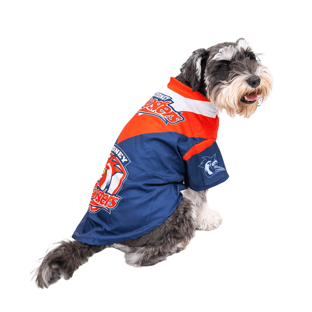 the-stubby-club-nrl-sydney-roosters-pet-jersey