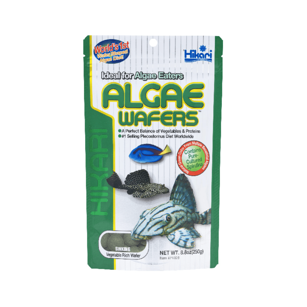 40g