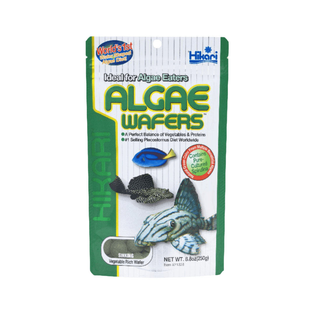 hikari-algae-wafers