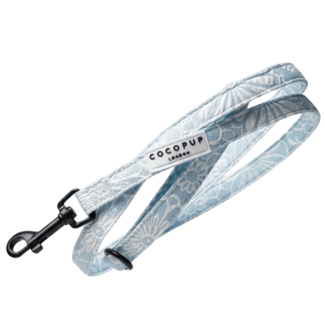 cocopup-london-puppy-lead-baby-blue-flower