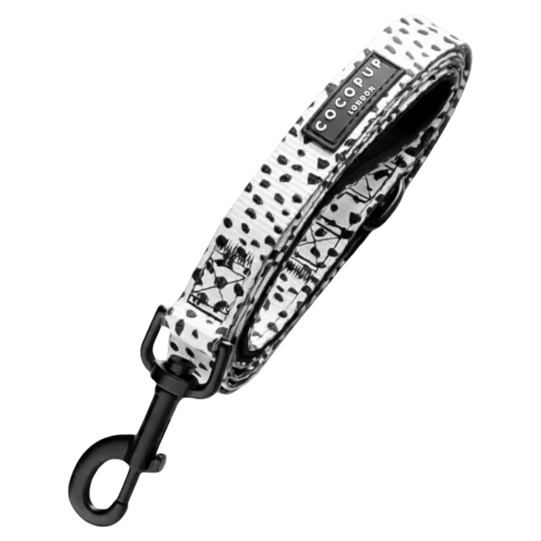 cocopup-london-puppy-lead-monochrome-spots