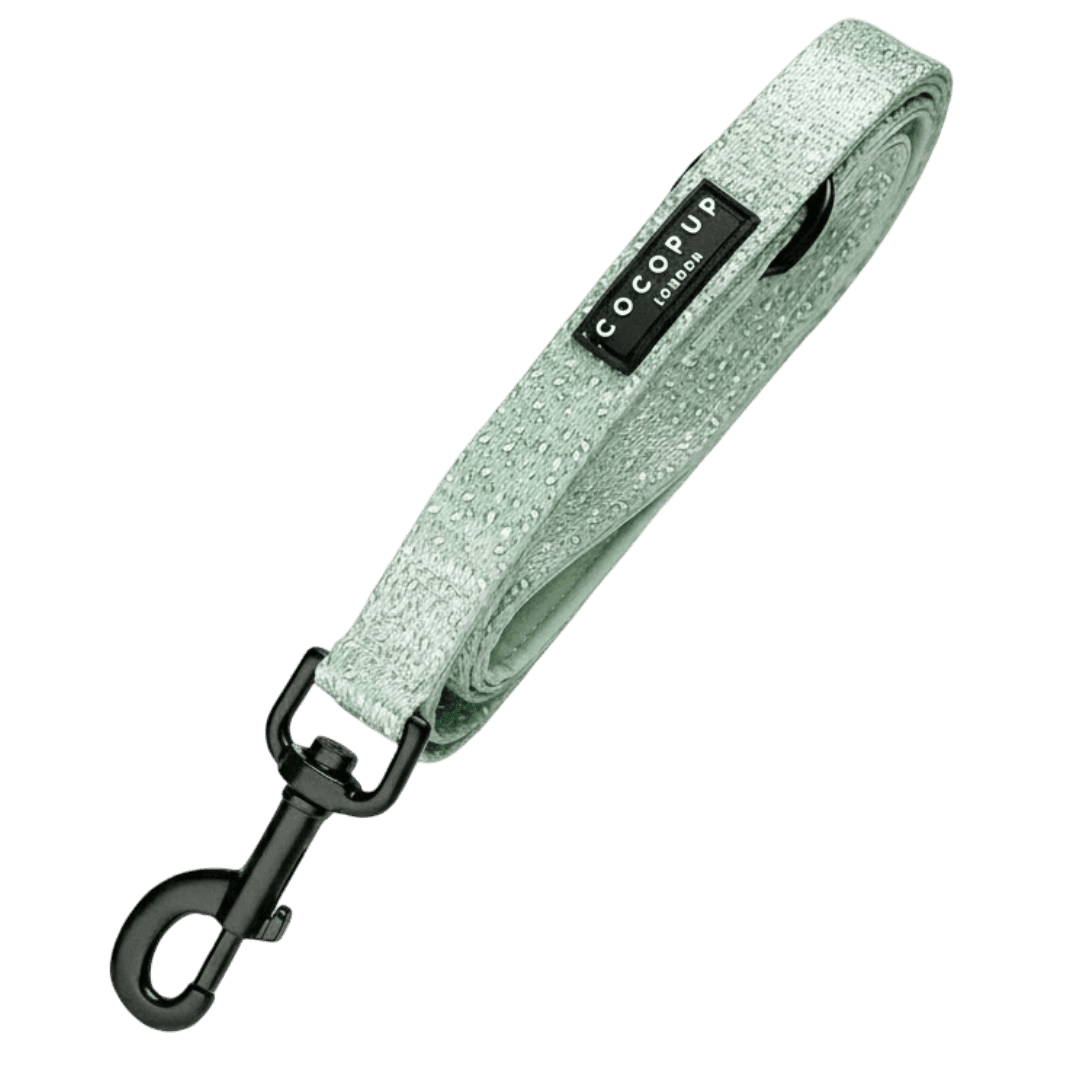 cocopup-london-puppy-lead-sage-leopard