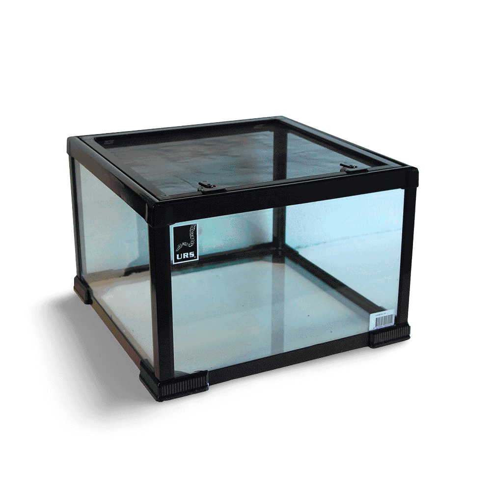 urs-micro-terrarium