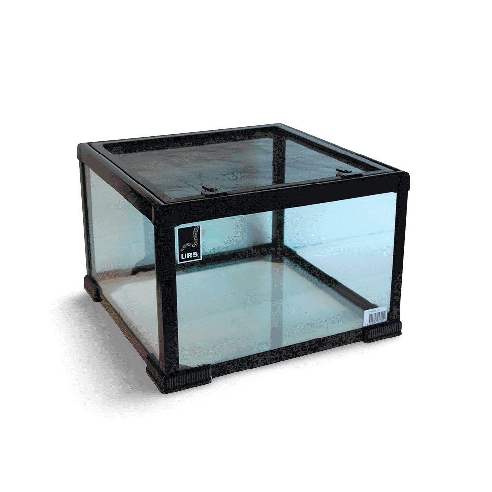 urs-pee-wee-terrarium