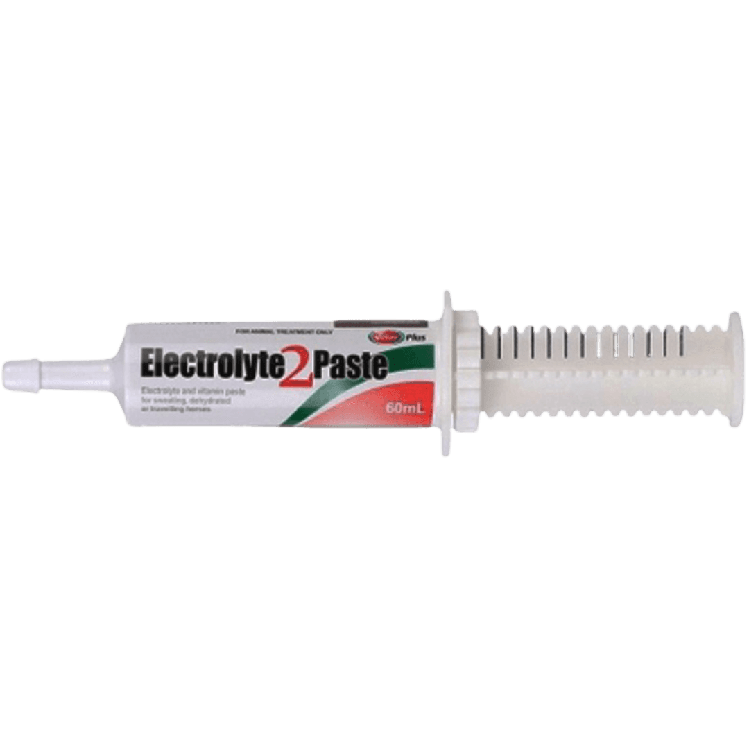 value-plus-electrolyte-2-paste