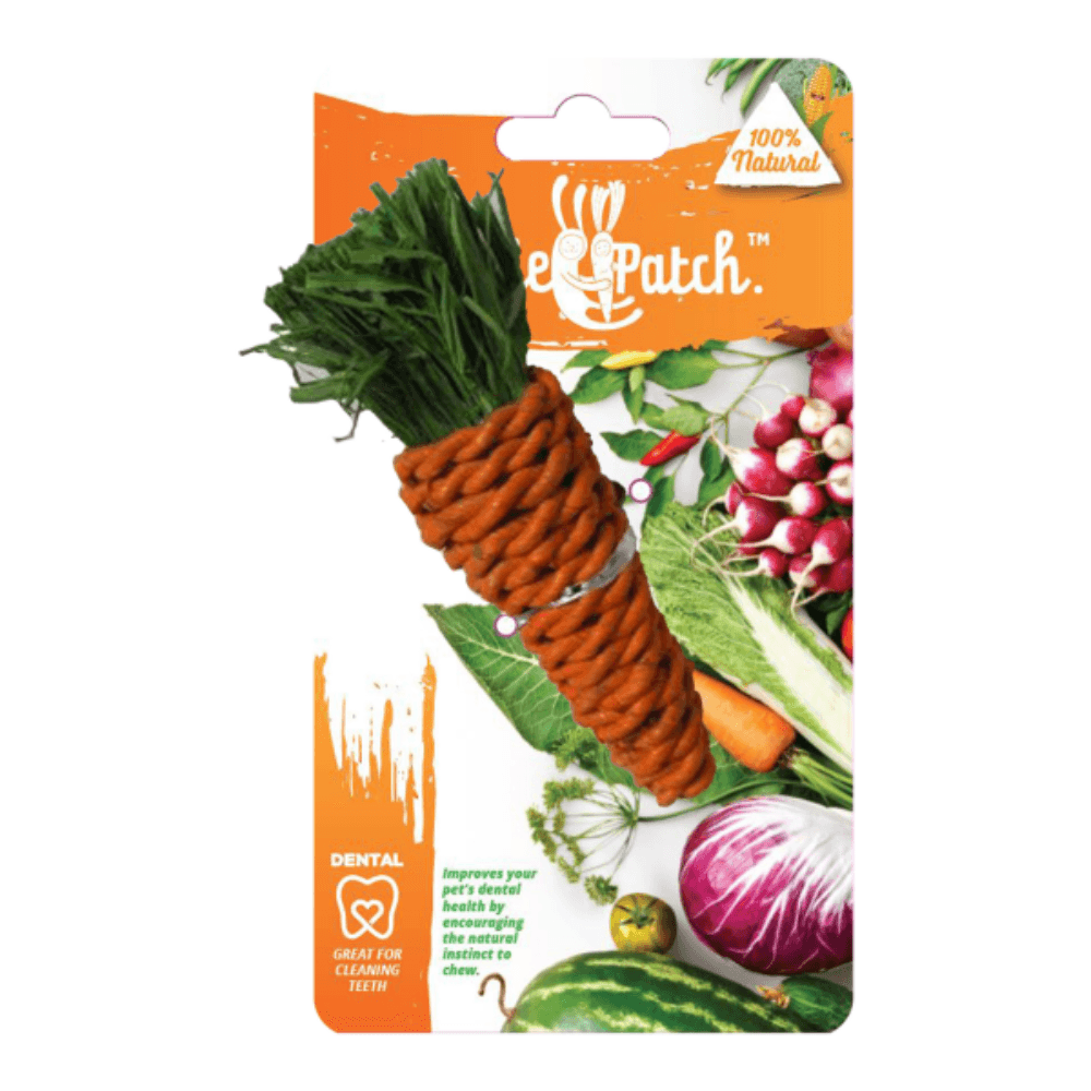 veggie-patch-carrot-small-animal-chew-toy-with-seagrass-and-corn-husk