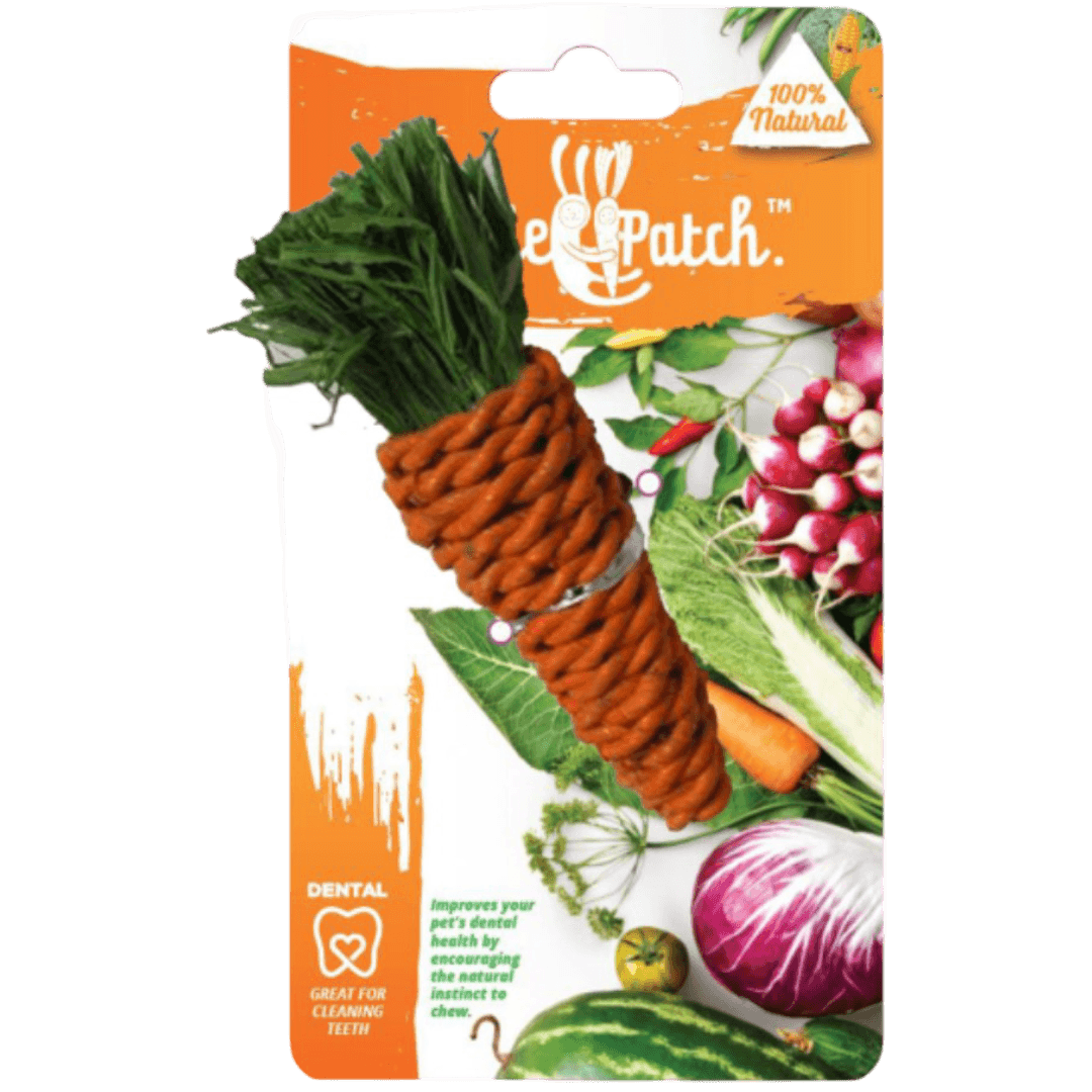 veggie-patch-carrot-small-animal-chew-toy-with-seagrass-and-corn-husk