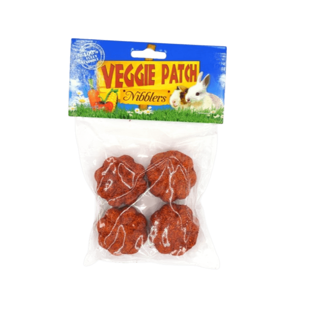 veggie-patch-nibblers-mini-pumpkins-small-animal-chew-treat