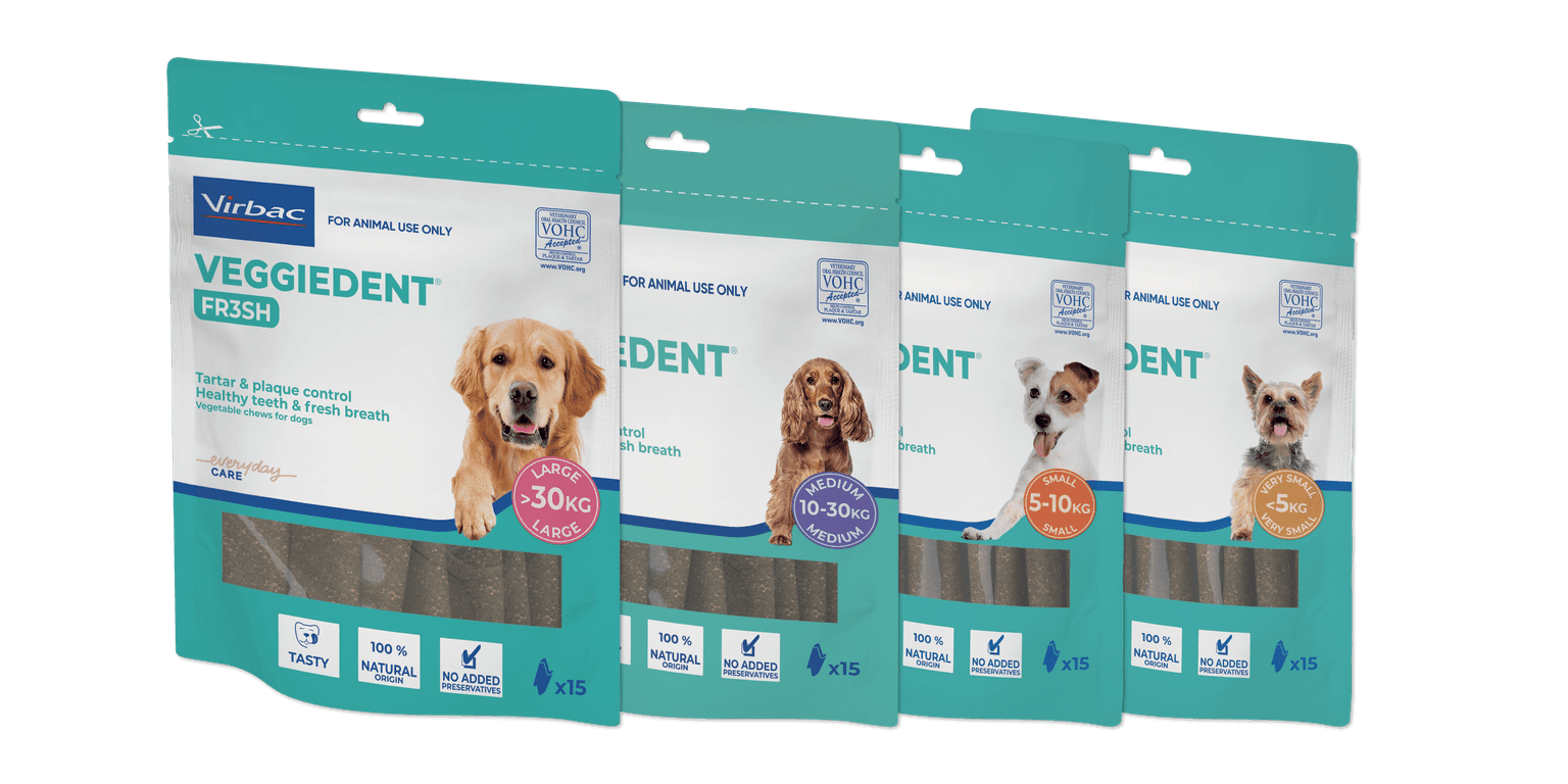 VeggieDent FR3SH Small Dog Dental Treats