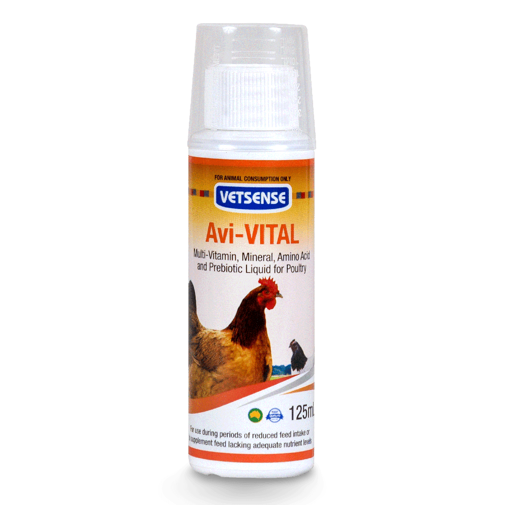 vetsense-avi-vital-multivitamin-and-prebiotic-liquid-for-poultry