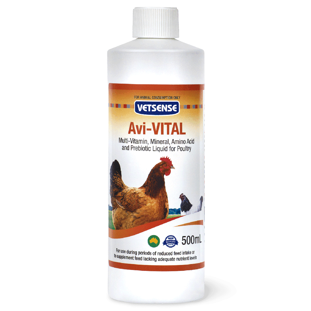 vetsense-avi-vital-multivitamin-and-prebiotic-liquid-for-poultry