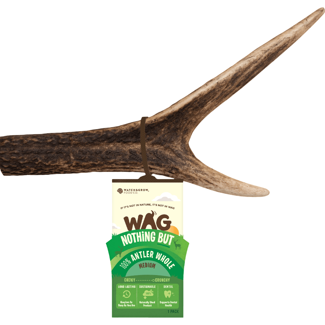 wag-dog-treats-antler-whole