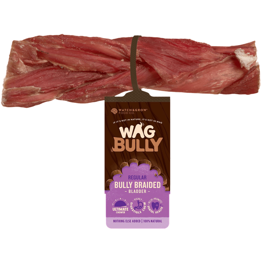 wag-dog-treats-braided-bully-stick-regular