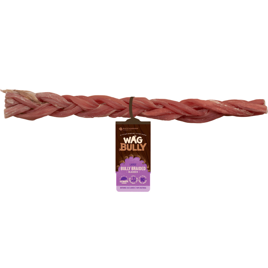 Dog Treats Braided Bully Stick Large