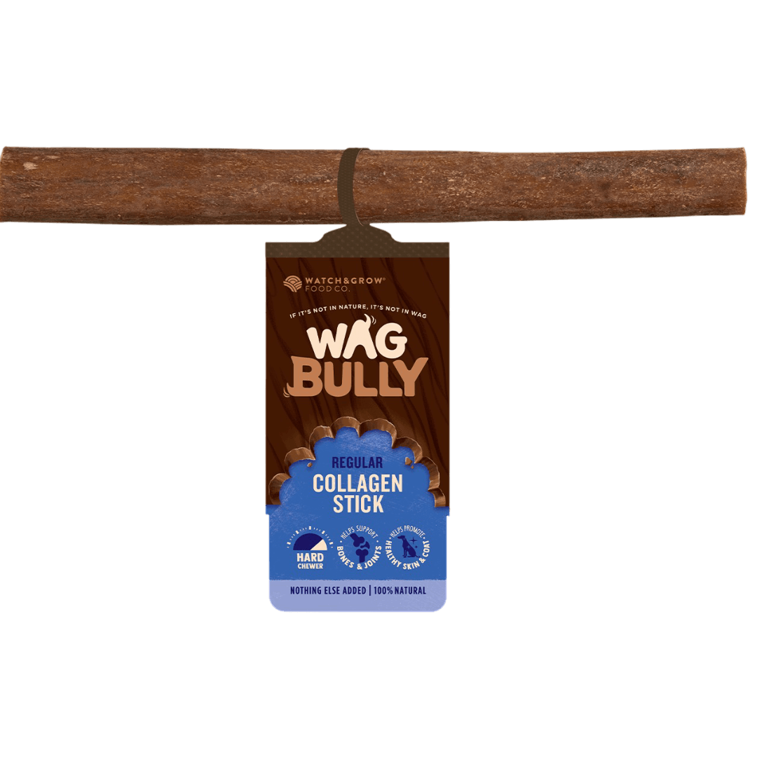 wag-dog-treats-collagen-stick-regular