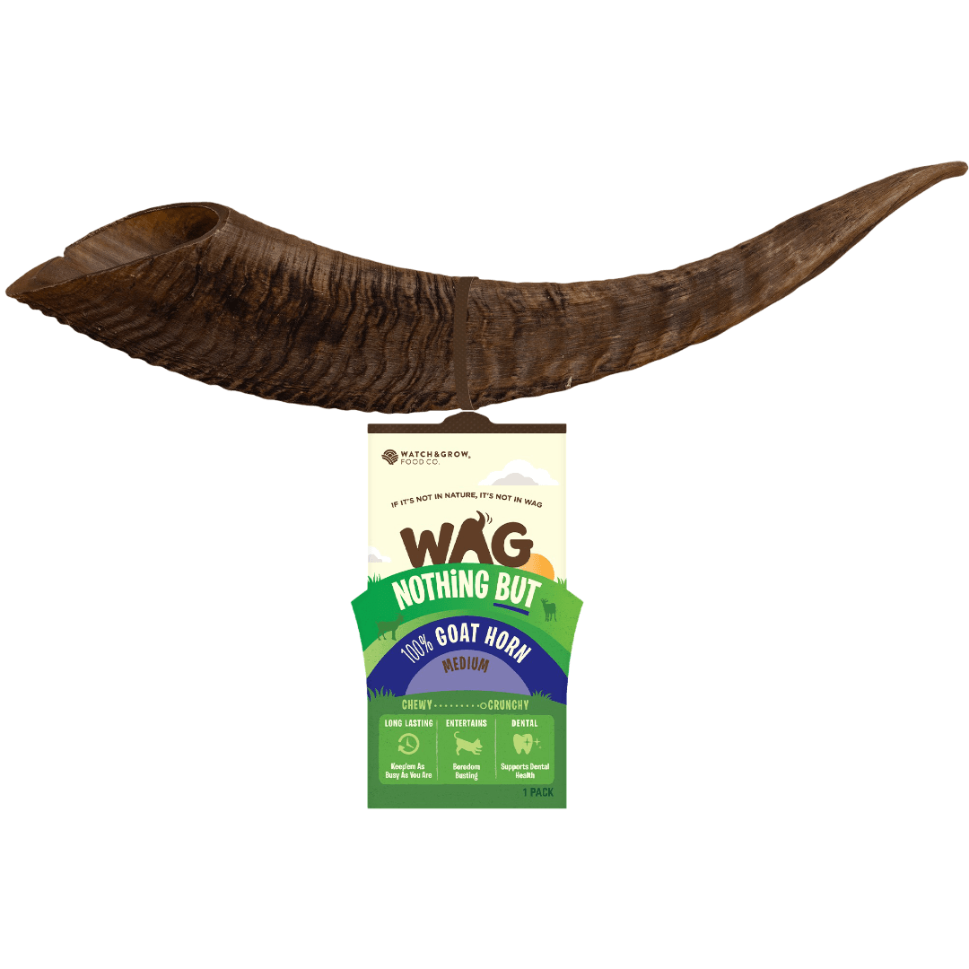 wag-dog-treats-goat-horn