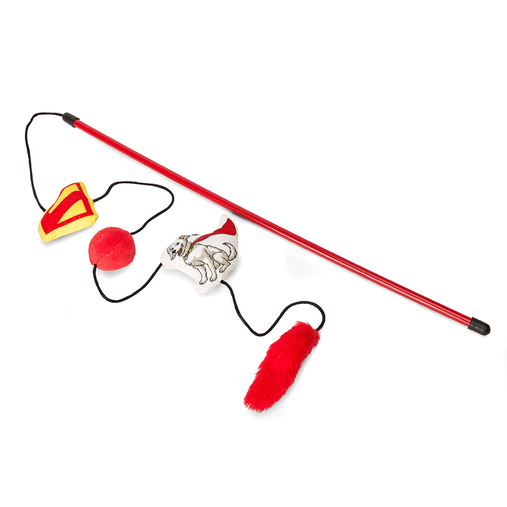 warner-bros-superman-2025-cat-teaser