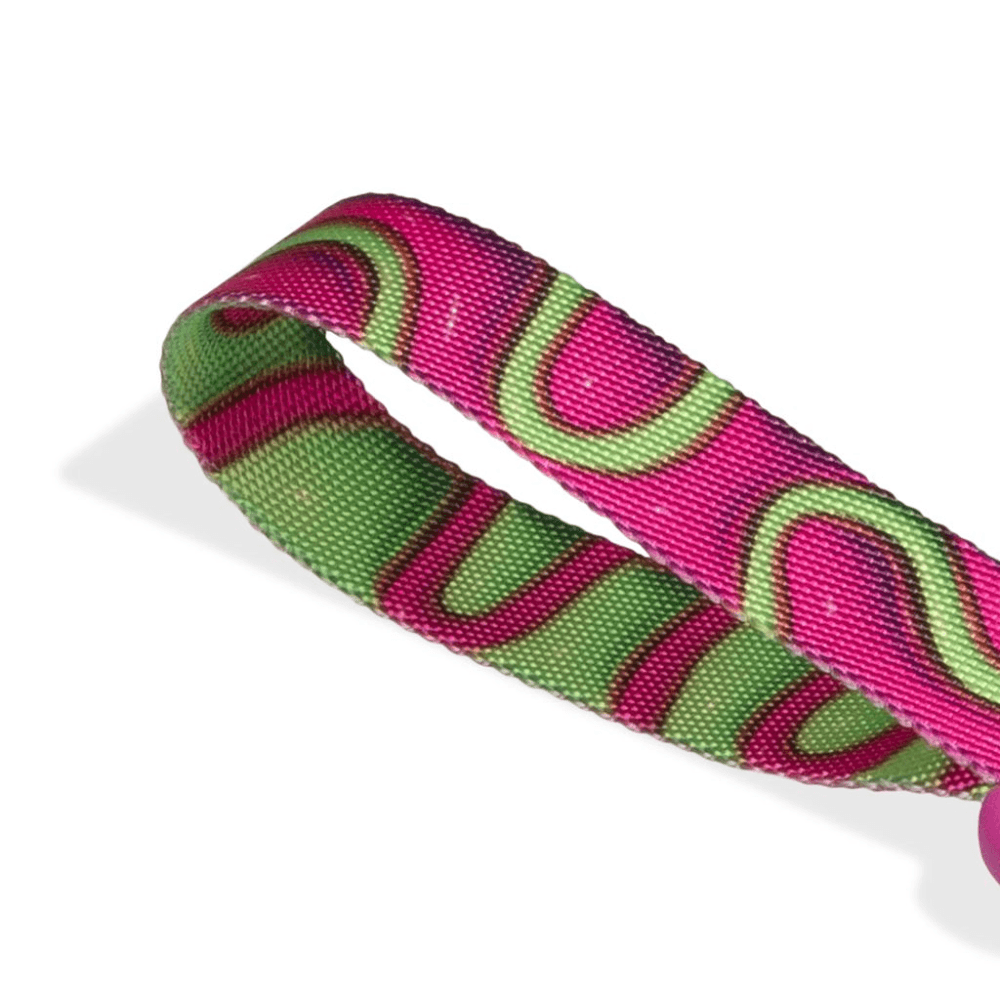 ZEE DOG H3D Jelly Dog Leash