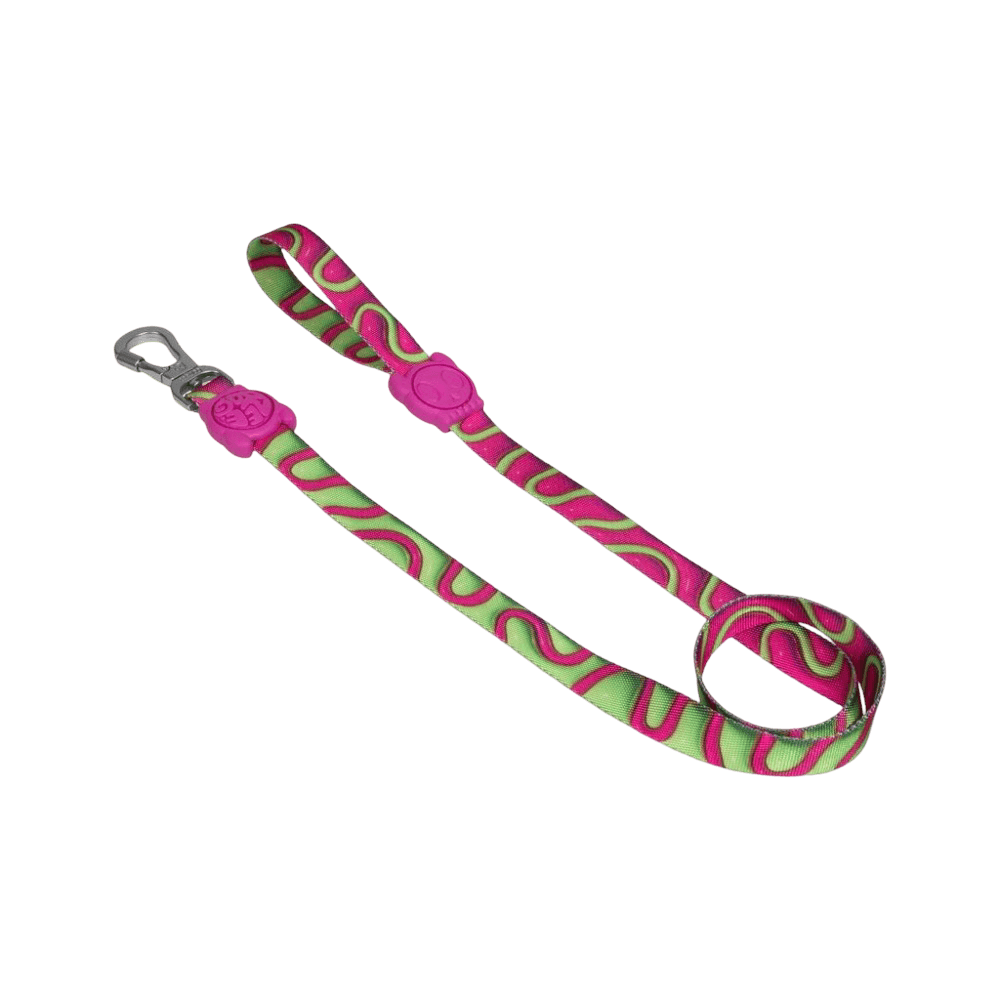 Zee Dog H3D Jelly Dog Leash