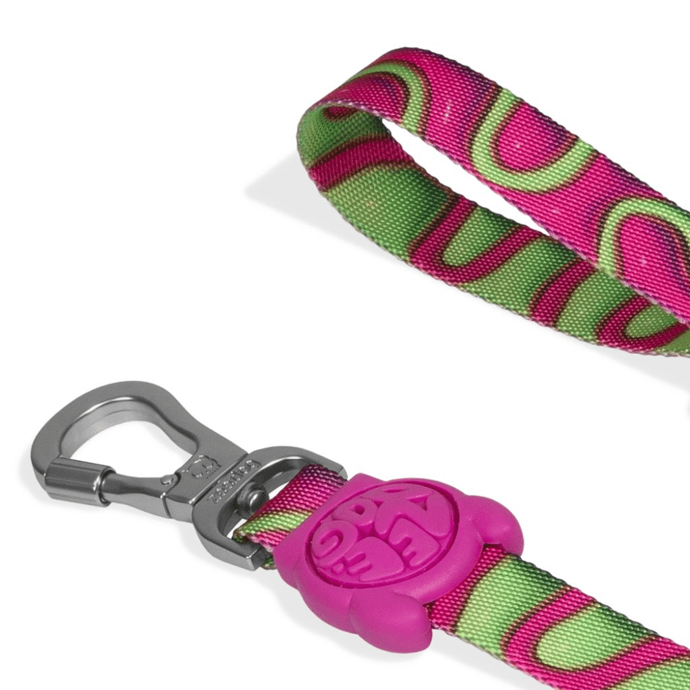 ZEE DOG H3D Jelly Dog Leash
