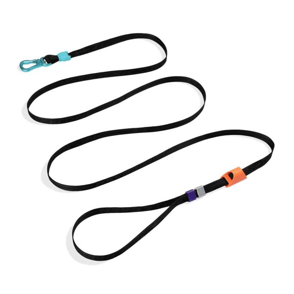 ZEE DOG Segundo Long Dog Leash 2.0