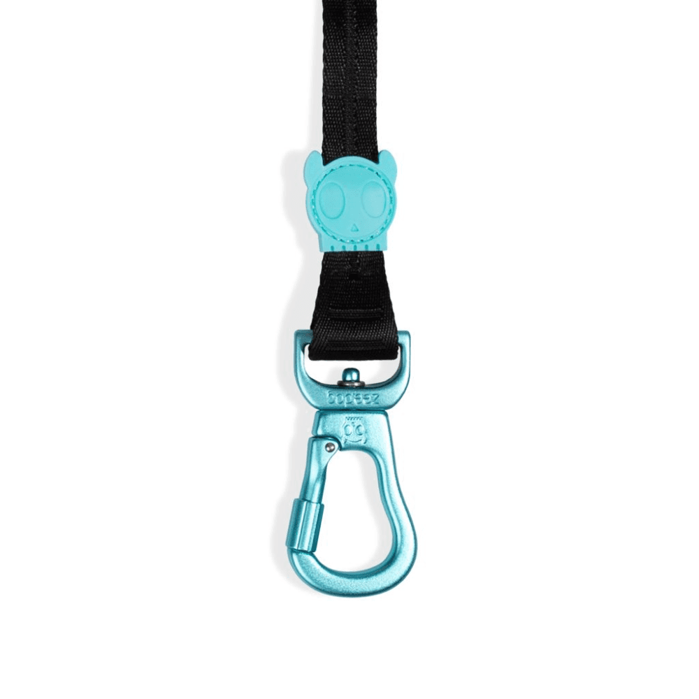 ZEE DOG Segundo Long Dog Leash 2.0