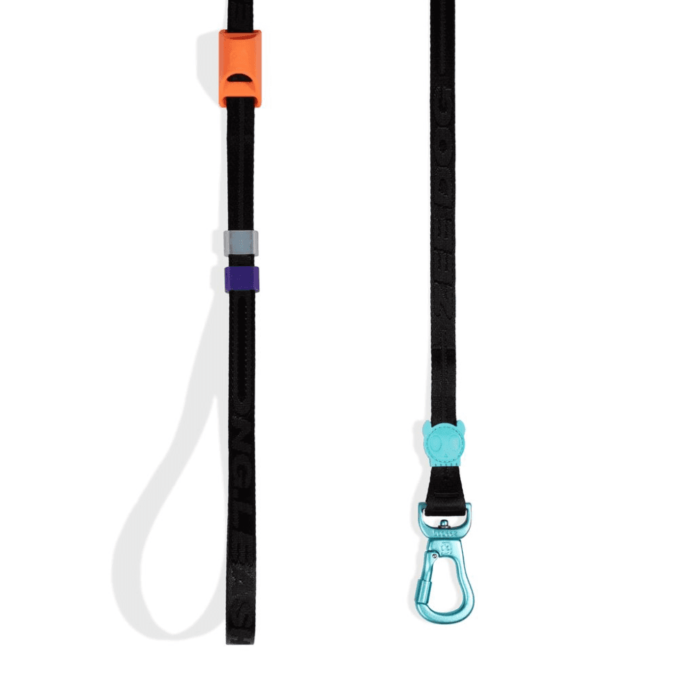 ZEE DOG Segundo Long Dog Leash 2.0