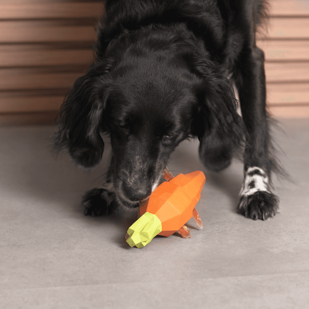 ZEE DOG Super Veggiez Carrot Dog Toy
