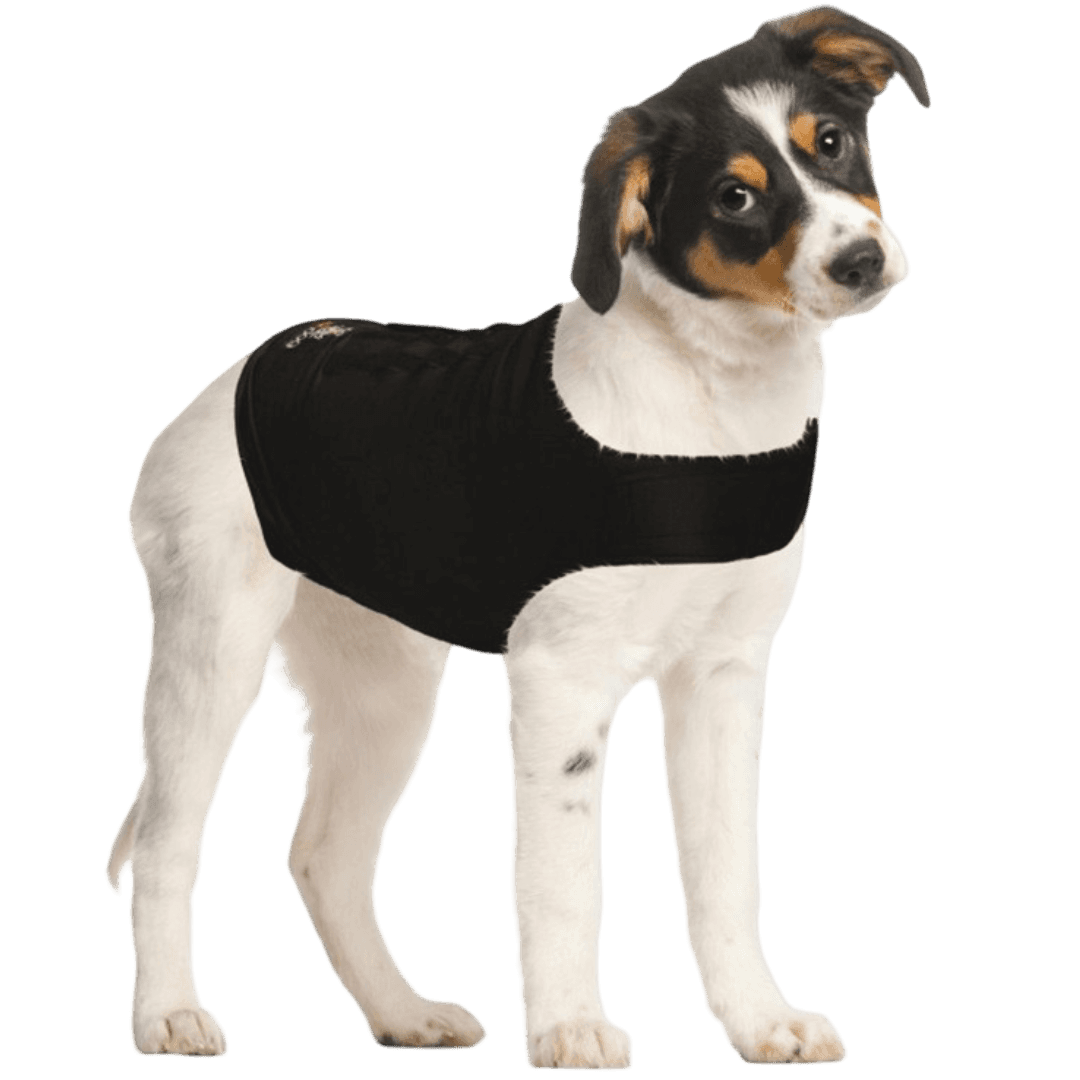 Calming Dog Shirt