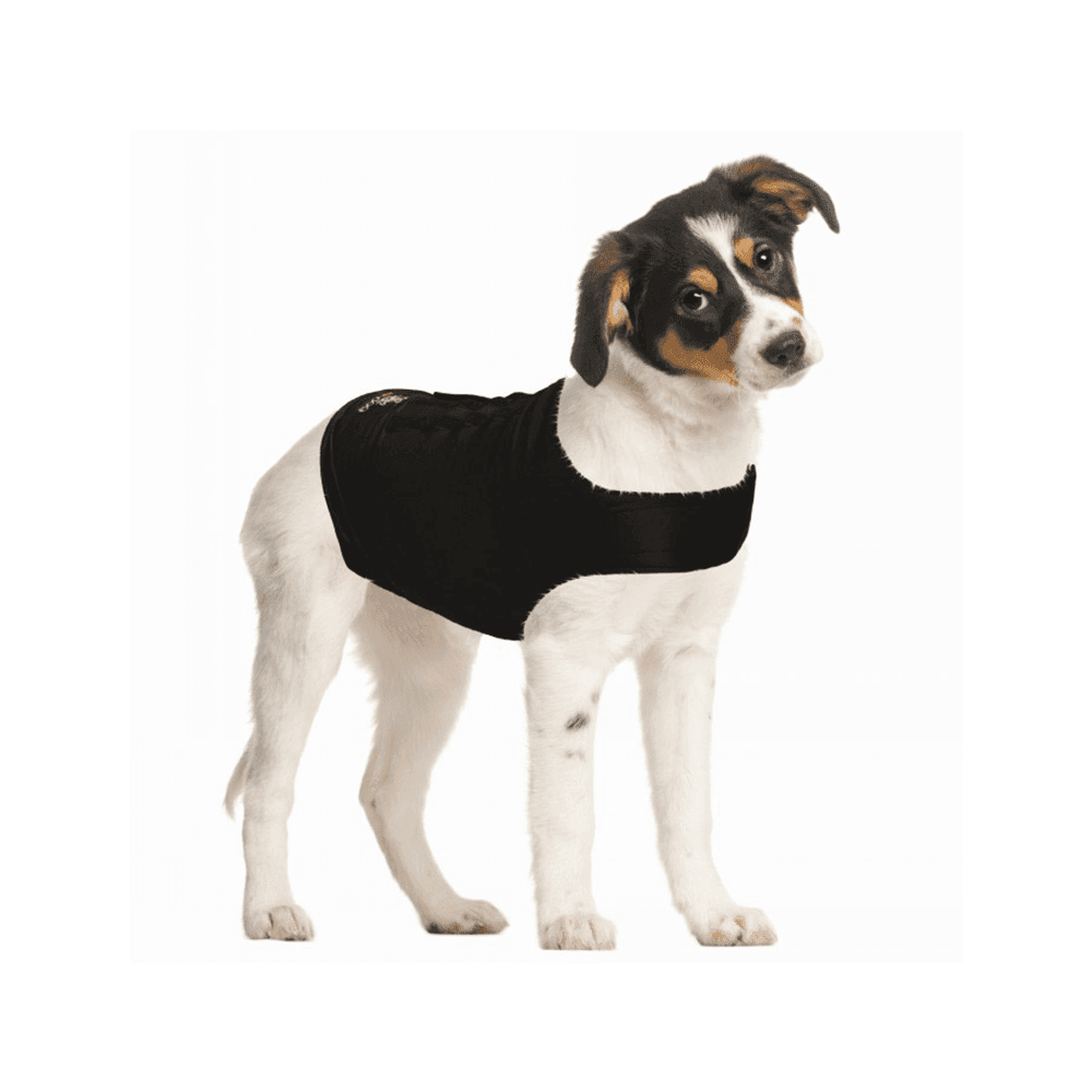 zendog-calming-dog-shirt