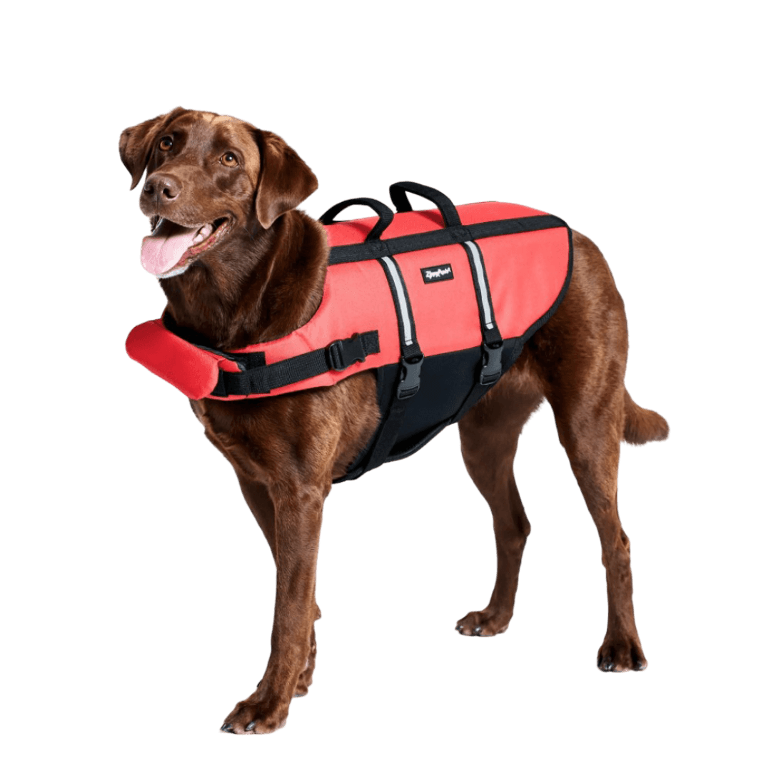 zippypaws-safety-gear-reflective-dog-life-jacket