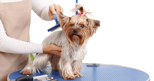 Grooming Page Hero