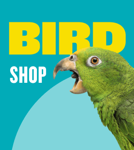 parakeet shop