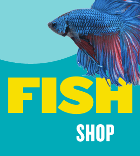 the online aquarium shop