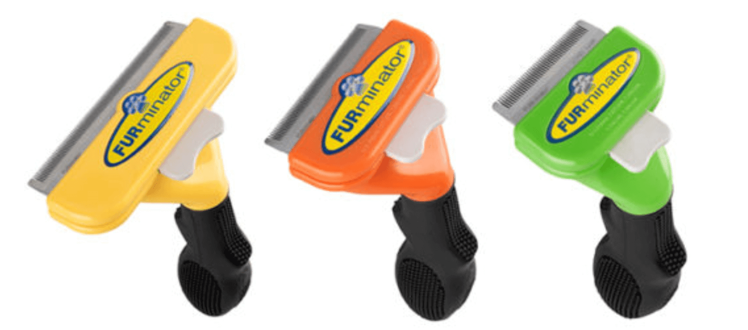 Best Cat Brushes [Vet Reviewed] Pet Better with Pet Circle