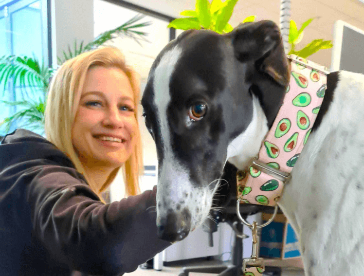 life at pet circle Pet Better with Pet Circle