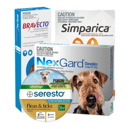 collar for dogs for ticks