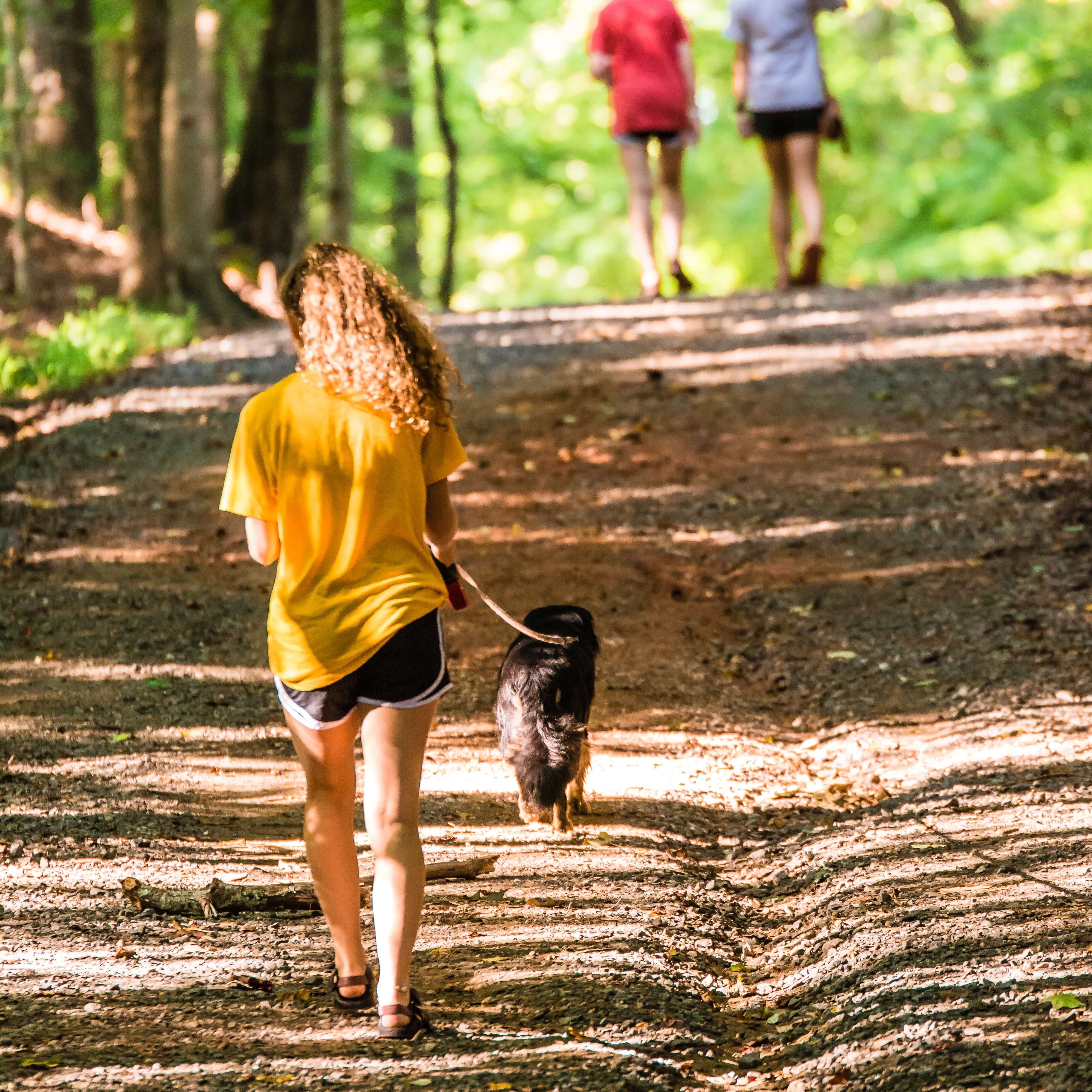 Safe Dog Treats: Allulose – Friend Or Foe? - vc3d0yi
