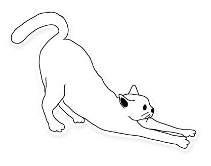 Cat Curious