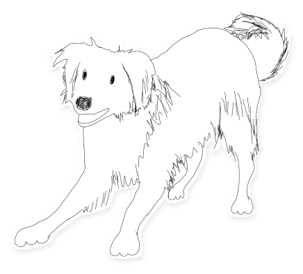 Dog Curious