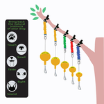 aussie dog home alone