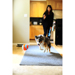 chuckit indoor launcher