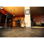 chuckit indoor launcher